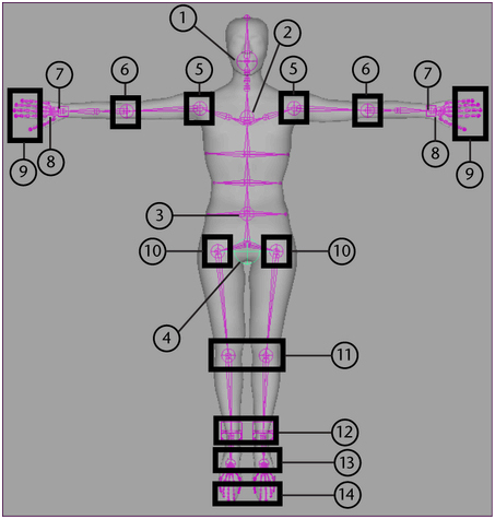maya—fbik系统研究 脚本之家 maya动画教程