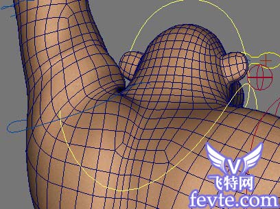 MAYA打造逼真人物表情教程系列2-变形制作 脚本之家 MAYA角色动画教程