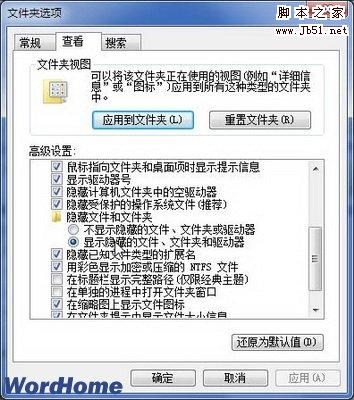 显示隐藏的文件、文件夹和驱动器