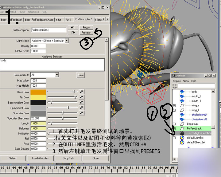 MAYA FUR制作蜜蜂的体毛 脚本之家 MAYA角色动画教程