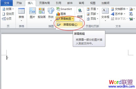 Office屏幕剪辑