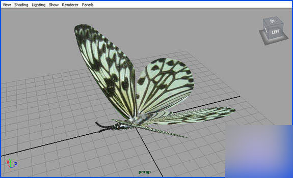 MAYA Instancers 制作蝴蝶群舞 脚本之家 MAYA角色动画教程