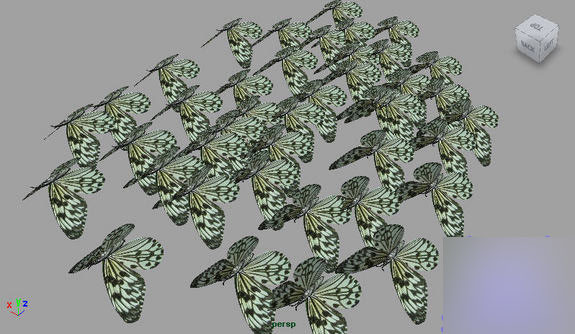MAYA Instancers 制作蝴蝶群舞 脚本之家 MAYA角色动画教程