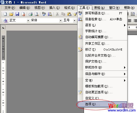 设置携带字体