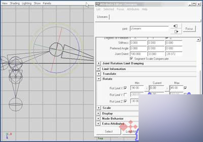 Maya 7.0 骨骼动画-骨骼动力学 脚本之家 MAYA角色动画教程