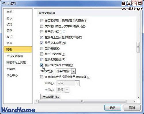 显示域代码而非域值