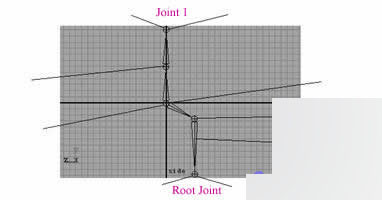 Maya 7.0 骨骼动画-基本概念 脚本之家 MAYA材质灯光