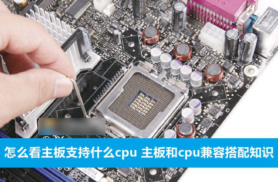 怎么看主板支持什么cpu 主板和cpu兼容搭配知识