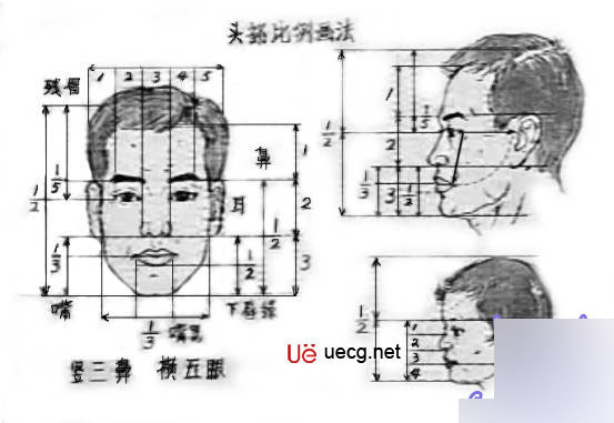 Maya角色建模基础――人体造型解剖学基础 脚本之家 MAYA建模教程