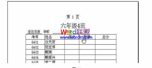 效果