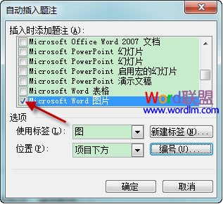 自动插入题注对话框