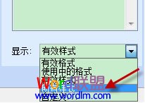 “显示”下拉菜单