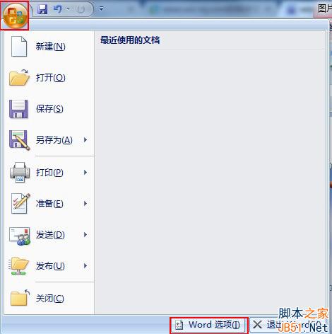 word选项