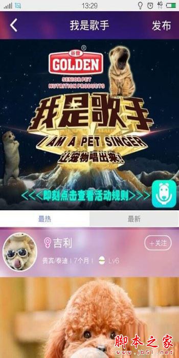 宠物说app详细教程