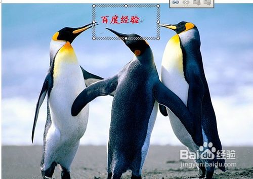 怎样用Word给图片加水印