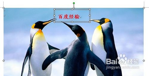 怎样用Word给图片加水印