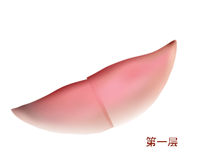 AI教程 AI渐变网格打造美女精致五官 脚本之家 AI实例教程