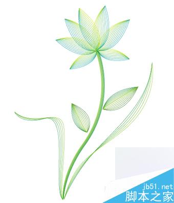 AI绘制矢量线型花朵 脚本之家 AI教程