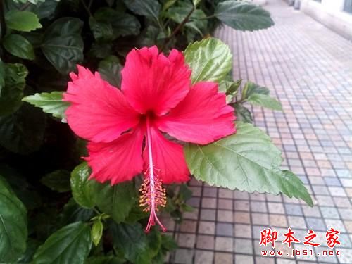 昂达v10 pro值得买吗？昂达v10 pro平板笔记本全面开箱评测图解