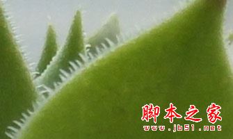 魅族MX6和360手机N4S拍照对比