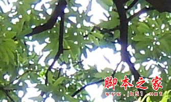 魅族MX6和360手机N4S拍照对比