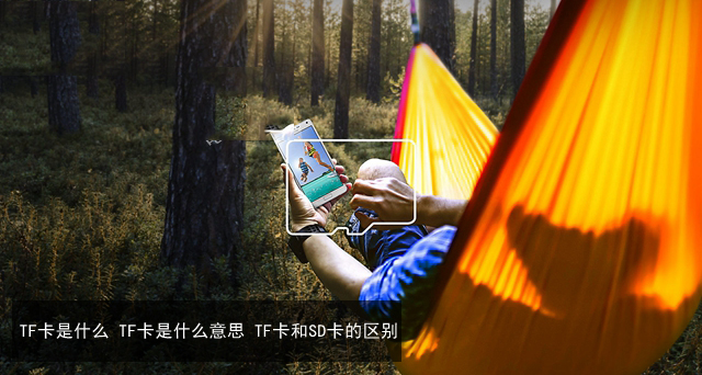 TF卡是什么 TF卡是什么意思 TF卡和SD卡的区别