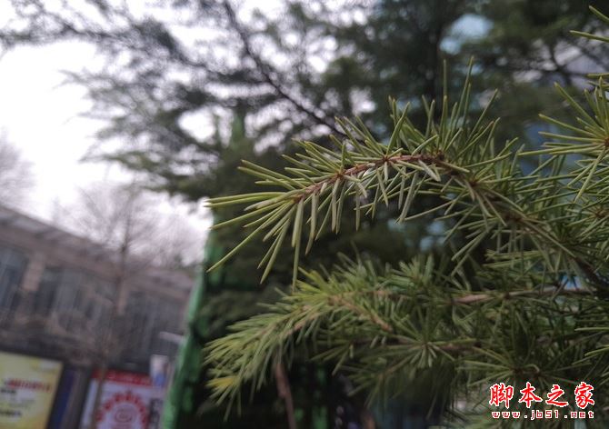 一加3T和魅族PRO6 Plus哪个更好些？魅族PRO6 Plus和一加3T全面区别对比评测图解