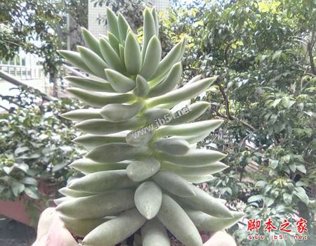 康佳手机R8值得买吗？康佳R8手机全面详细评测图解