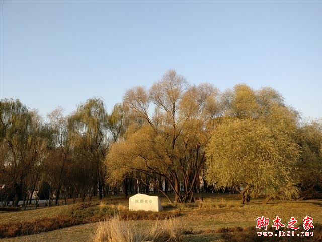 一加3T拍照怎么样 自拍升级+样张评测