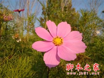 红米4和红米4a哪个更值得买？红米4a和红米4全面区别对比详细评测图解