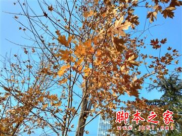 红米4和红米4a哪个更值得买？红米4a和红米4全面区别对比详细评测图解