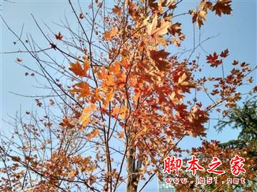 红米4和红米4a哪个更值得买？红米4a和红米4全面区别对比详细评测图解
