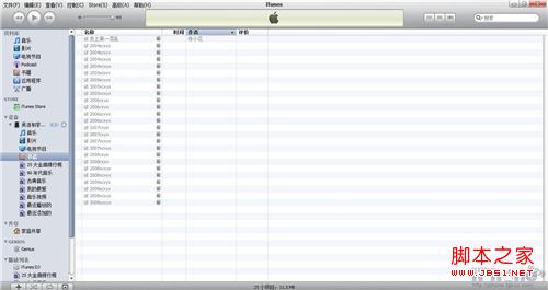 ios应用ibooks的介绍