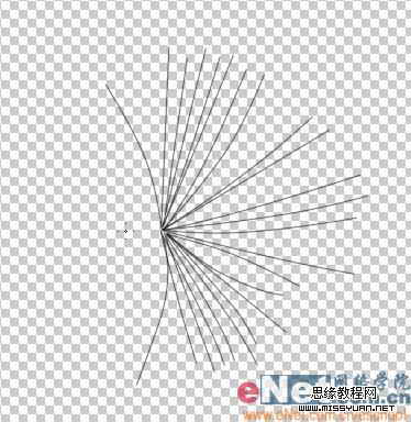 Photoshop制作逼真的风中蒲公英