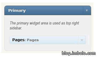 WordPress 2.9 侧边栏描述
