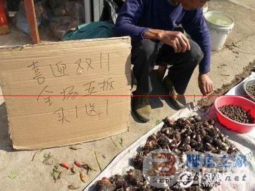 喜迎双十一 全场五折买一送一