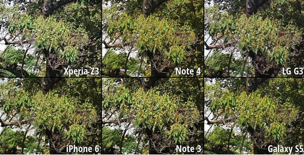 拍照样张盲测：Note 4完胜iPhone 6