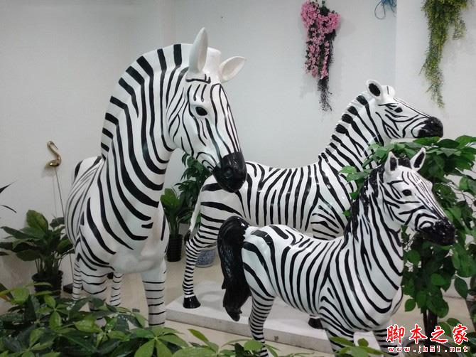 红米5 Plus拍照体验