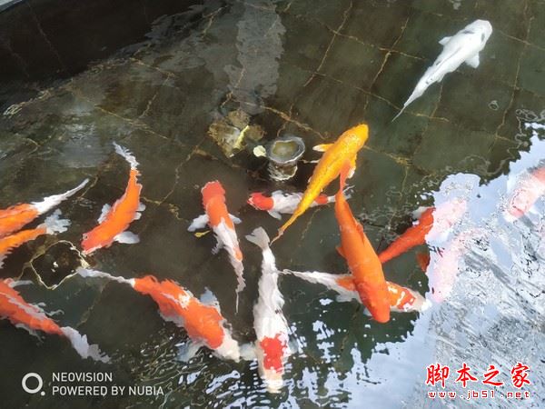 努比亚Z17S值不值得买？努比亚Z17S全面屏手机上手评测图解
