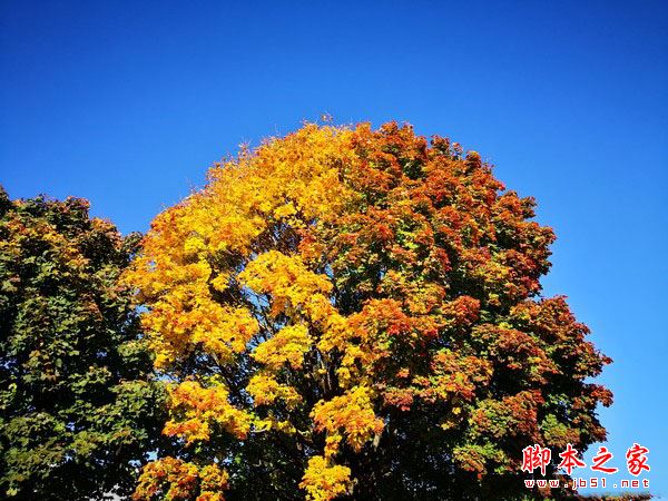 华为Mate 10