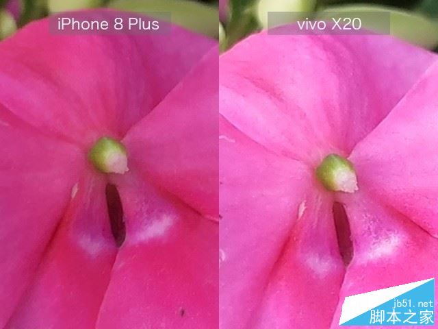 vivo X20和iPhone8 Plus哪个值得买？苹果8 plus与vivo X20全面深度评测图解