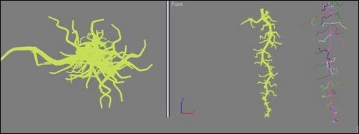 3ds Max教程:制作饱满多汁葡萄_脚本之家jb51.net整理
