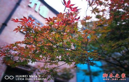 华为Mate9保时捷版值得买吗？华为Mate9保时捷版全面深度评测图解