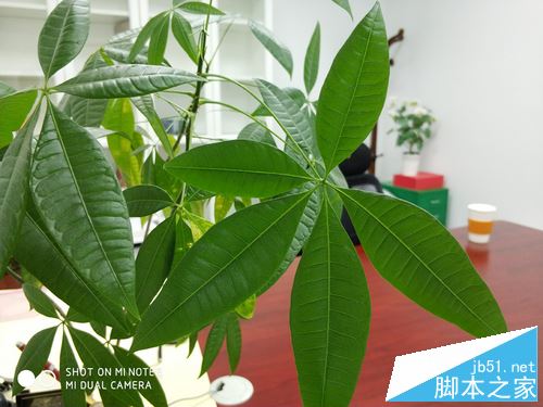 小米Note3值得买吗？小米Note3优缺点全面深度评测图解