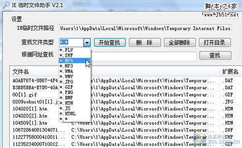 临时文件分类搜索 轻松淘尽IE缓存资源