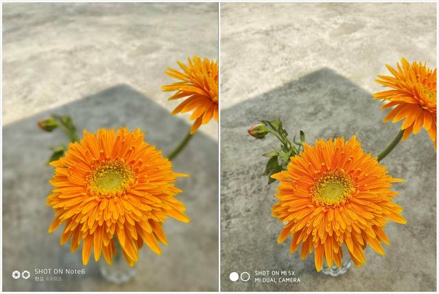 魅蓝Note6和小米5X哪个好？小米5X和魅蓝Note6全面深度对比评测