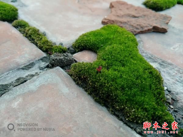 努比亚Z17畅享版值得买吗？努比亚Z17畅享版优缺点全面深度评测图解