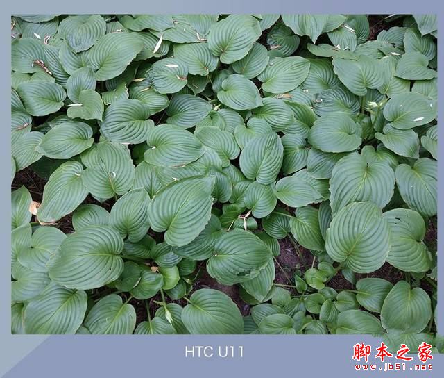 HTC U11和三星S8哪个值得买？三星S8与HTC U11全面深度区别对比评测图解