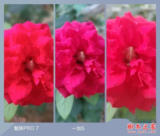 魅族pro7和努比亚z17/一加5哪个值得买？努比亚z17和魅族pro7/一加5全面对比评测