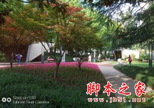 金立S10评测 硬件级实时虚化打造更美四摄